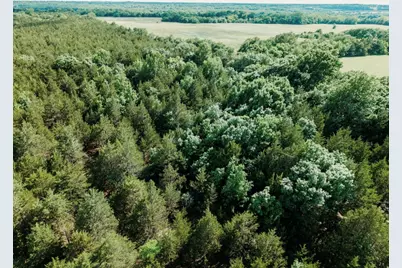 Tbd Cr 2975, Honey Grove, TX 75446 - Photo 20