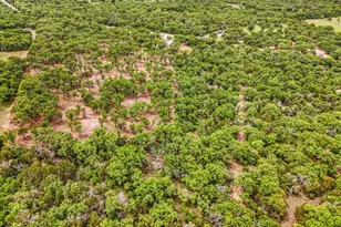 304 Co Rd 340, Ranger, TX 76470 - Photo 28