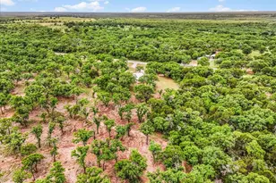 304 Co Rd 340, Ranger, TX 76470 - Photo 30