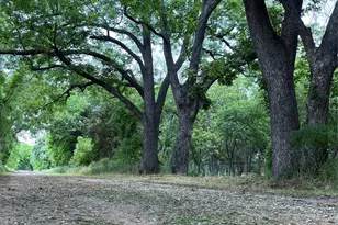 9439 Co Rd 103, Whitesboro, TX 76273 - Photo 26