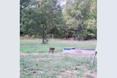9439 County Road 103, Whitesboro, TX 76273 - Photo 38