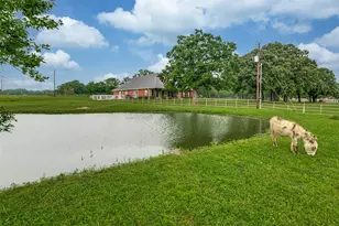 9412 Private Road 2425, Poetry, TX 75160 - Photo 34