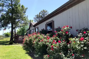 272 County Road 2062, Klondike, TX 75448 - Photo 2