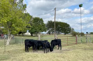 272 County Road 2062, Klondike, TX 75448 - Photo 22