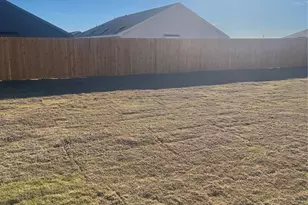 427 Bower Dr, Princeton, TX 75407 - Photo 24