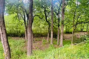 1229 Epps Rd, Palmer, TX 75152 - Photo 32