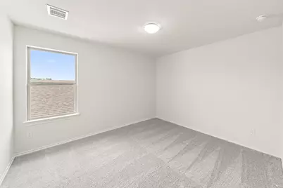 3691 Desperado Way, Anna, TX 75409 - Photo 22
