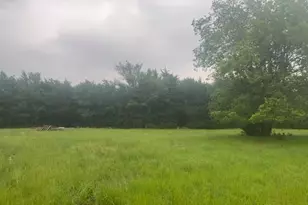 8990 Co Rd 2414, Quinlan, TX 75474 - Photo 2