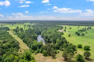 226 Fm 2869, Winnsboro, TX 75494 - Photo 8