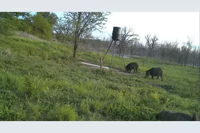 0000 County Road 2610, Bonham, TX 75418 - Photo 28
