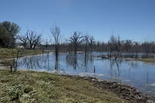 0000 County Road 2610, Bonham, TX 75418 - Photo 1