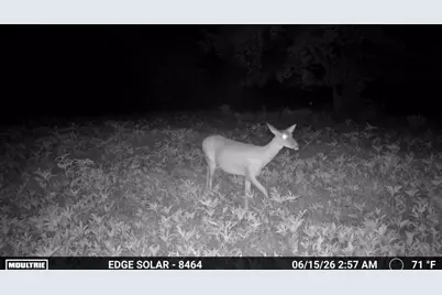 0000 County Road 2610, Bonham, TX 75418 - Photo 34