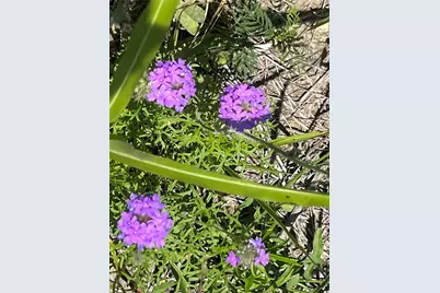 Tbd Hcr 1153, Blum, TX 76627 - Photo 12