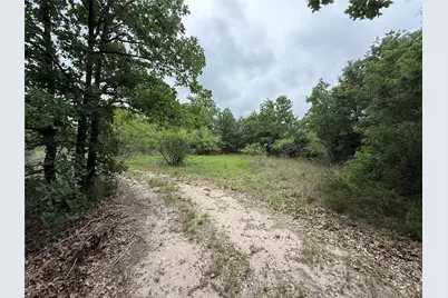 Tbd 125 Acres Fm 642, Purdon, TX 76679 - Photo 28
