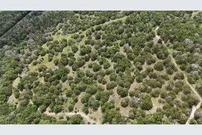 Tbd 125 Acres Fm 642, Purdon, TX 76679 - Photo 40
