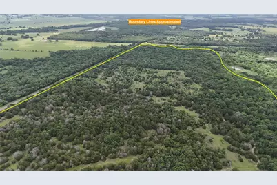 Tbd 125 Acres Fm 642, Purdon, TX 76679 - Photo 1