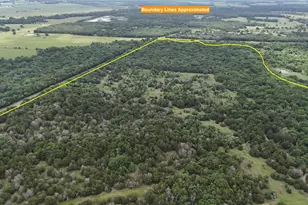 Tbd 125 Acres Fm 642, Purdon, TX 76679 - Photo 1