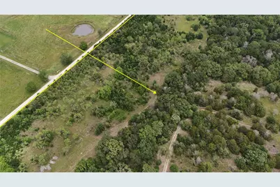 Tbd 125 Acres Fm 642, Purdon, TX 76679 - Photo 6
