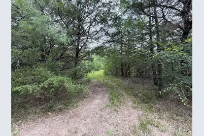 Tbd 125 Acres Fm 642, Purdon, TX 76679 - Photo 20