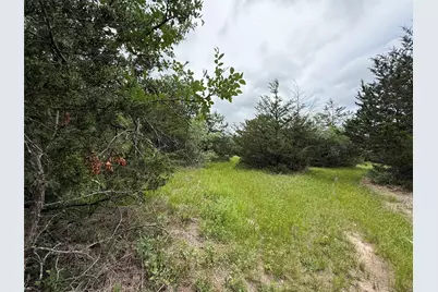 Tbd 125 Acres Fm 642, Purdon, TX 76679 - Photo 34