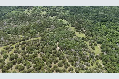 Tbd 125 Acres Fm 642, Purdon, TX 76679 - Photo 36