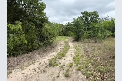 Tbd 125 Acres Fm 642, Purdon, TX 76679 - Photo 18