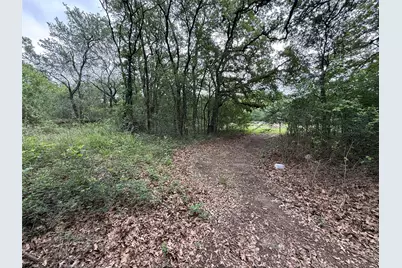 Tbd 125 Acres Fm 642, Purdon, TX 76679 - Photo 8