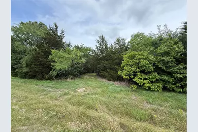 Tbd 27 Acres Fm 642, Purdon, TX 76679 - Photo 4