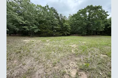Tbd 27 Acres Fm 642, Purdon, TX 76679 - Photo 12
