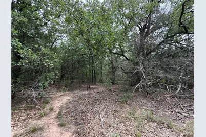 Tbd 27 Acres Fm 642, Purdon, TX 76679 - Photo 28
