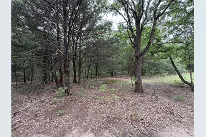 Tbd 27 Acres Fm 642, Purdon, TX 76679 - Photo 32