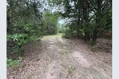 Tbd 27 Acres Fm 642, Purdon, TX 76679 - Photo 18