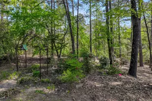 17325 County Rd 134, Flint, TX 75762 - Photo 40