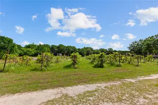 106 Private Rd 1381, Morgan, TX 76671 - Photo 6