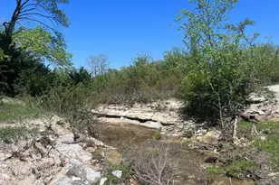1345 Periwinkle Dr, Celina, TX 75009 - Photo 14
