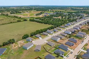 258 Peace Lily Wy, Tolar, TX 76476 - Photo 32