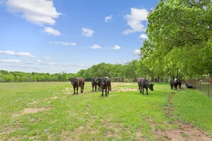 1277 Hcr 4251, Hillsboro, TX 76645 - Photo 12