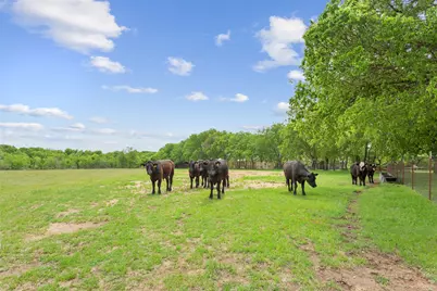 1277 Hcr 4251, Hillsboro, TX 76645 - Photo 8