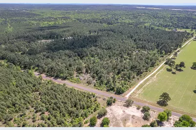 0 County Road 3588, Winnsboro, TX 75494 - Photo 2