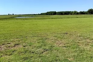 501 Alondrita St, Celeste, TX 75423 - Photo 28