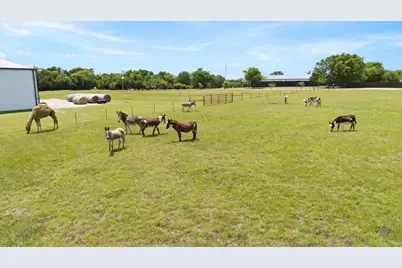 14705 County Road 545, Nevada, TX 75173 - Photo 4