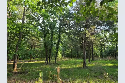 Lot 377 Timber Ridge, LaRue, TX 75770 - Photo 2