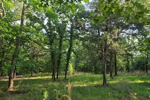 Lot 377 Timber Ridge, LaRue, TX 75770 - Photo 2