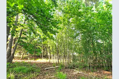 Lot 377 Timber Ridge, LaRue, TX 75770 - Photo 22