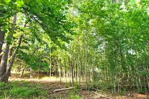 Lot 377 Timber Ridge, LaRue, TX 75770 - Photo 22