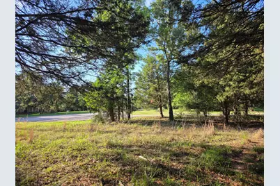 Lot 377 Timber Ridge, LaRue, TX 75770 - Photo 36