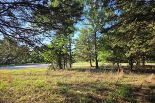 Lot 377 Timber Ridge, LaRue, TX 75770 - Photo 36