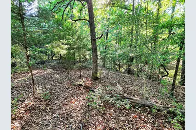 Lot 377 Timber Ridge, LaRue, TX 75770 - Photo 32