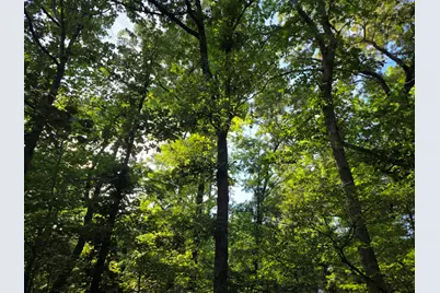 Lot 377 Timber Ridge, LaRue, TX 75770 - Photo 38