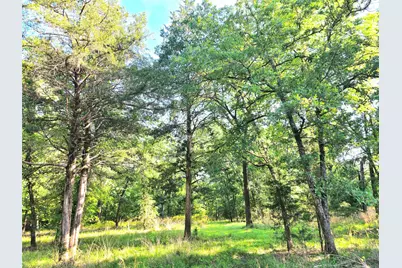 Lot 377 Timber Ridge, LaRue, TX 75770 - Photo 6